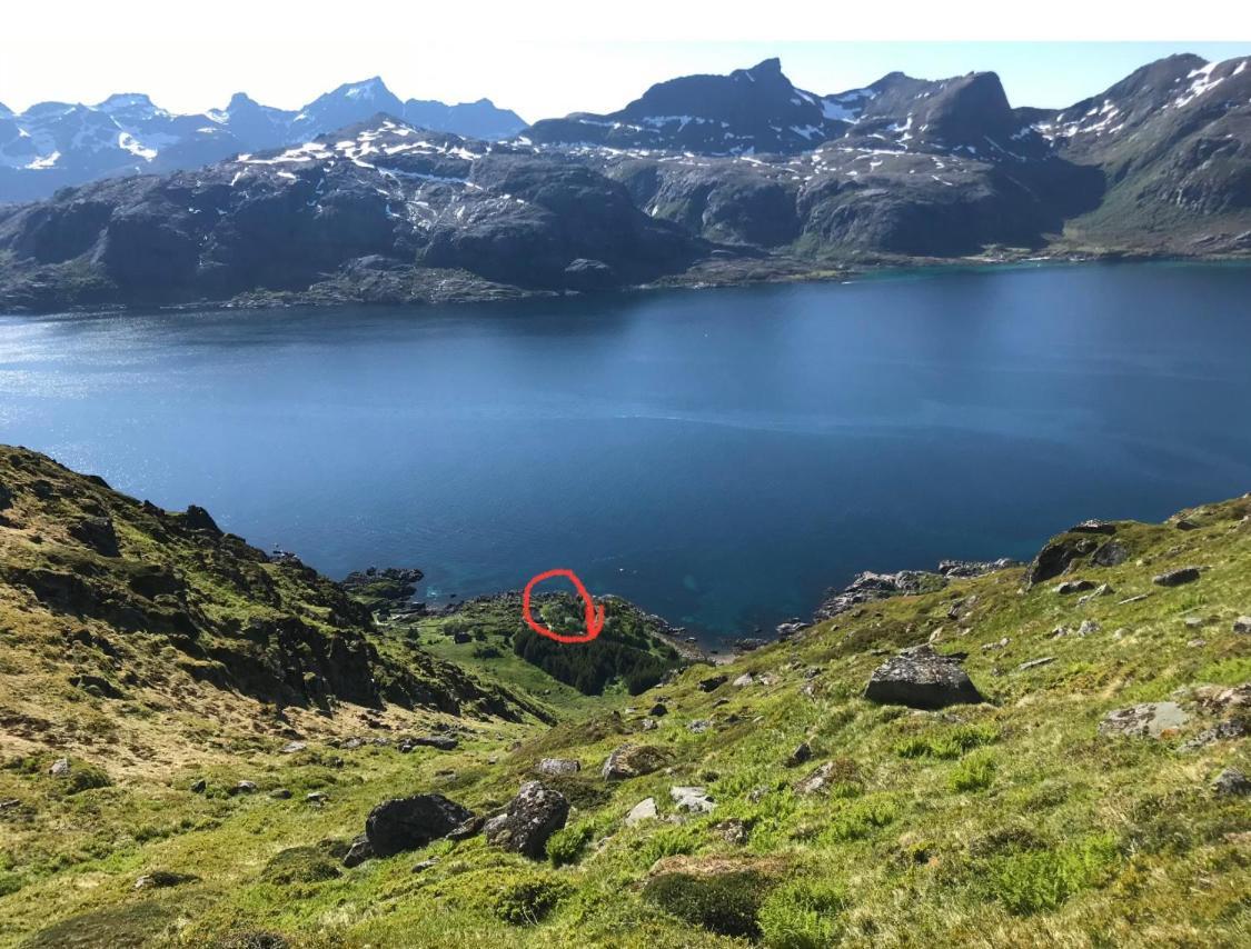 Vettinghytta, Close To The Sea With Amazing View. Gravdal  Екстериор снимка
