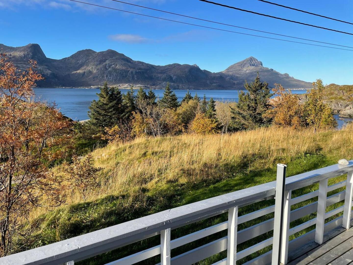 Vettinghytta, Close To The Sea With Amazing View. Gravdal  Екстериор снимка