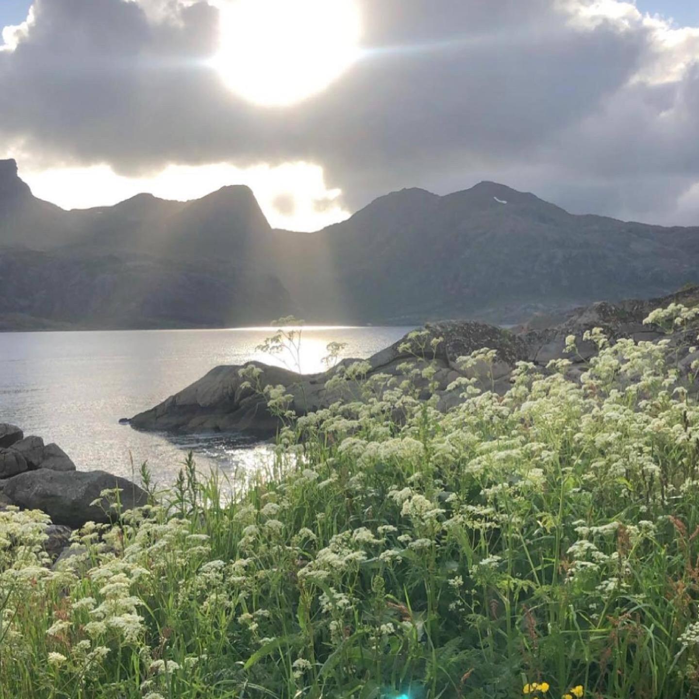 Vettinghytta, Close To The Sea With Amazing View. Gravdal  Екстериор снимка